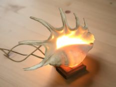 A large conch shell table lamp, width 35 cm.