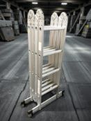 An aluminium extending ladder.