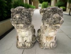 A pair of weather concrete garden dog statues, height 50 cm.
