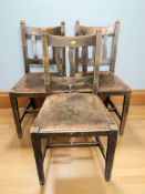 Three early 20th century oak dining chairs