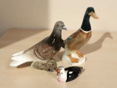 A Beswick duck, No. 756-1, a pigeon 1383, and a further figure of a king eider.