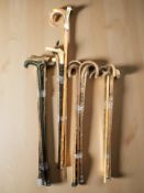 Approximately twenty vintage walking sticks including antler handled examples.