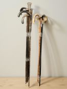 Ten various antique walking sticks including several with silver pommels.