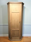 An early 20th century pine single door hall cabinet,