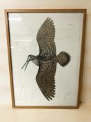 Continental School : Colour print depicting a curlew, indistinctly signed in pencil,