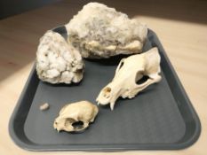 Two large gemstone specimens and two animal skulls