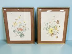 After Cynthia Augeri (American, born 1946) : Autumn Flowers, reproduction in colours, 62 cm x 46 cm,