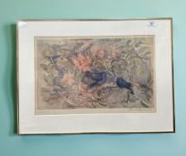 Continental School : Birds perched on a branch, colour print, indistinctly signed,