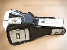A Ritter guitar bag and a further bag
