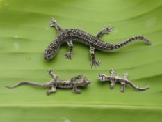 Two silver lizard brooches and a charm