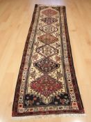 A North West Iranian runner,