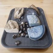 A group of cut and polished gemstone specimens, fossils, iridescent beads.