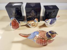 Four Royal Crown Derby porcelain bird paperweights comprising Robin,