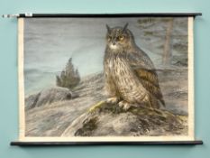 After Nils Tiren : An eagle owl seated on a rock, canvas lithograph, 98 cm x 69 cm.