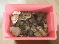 A box of geology specimens.