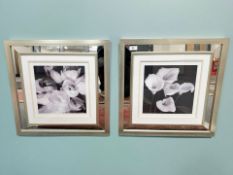 A pair of contemporary colour prints depicting flowers in mirrored frames, each 54 cm x 54 cm.