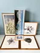 A group of pictures and prints, Manson Parks signed limited edition print of Northumbria, etc.