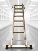 An aluminium extending roof ladder.