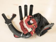 A Sanli petrol two stroke leaf blower.