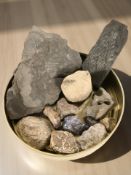 A group of fossils, gemstones, etc.