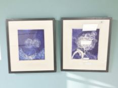 Susan Aldworth : Brainscape I, limited edition colour print, signed in pencil, 27 cm x 32 cm,