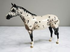 A Beswick figure : Appaloosa Stallion, black and white, colour way 2, gloss, height 19.5 cm.