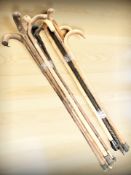 Two bundles of antique walking sticks.