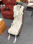 A replica composition human skeleton