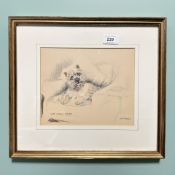 After Gill Evans : Cairn Terrier, limited edition print, signed in pencil and numbered 79 / 850,
