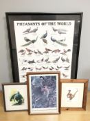 A colour print depicting world pheasants and three further similar pictures.