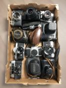 Various camera bodies including Pentax, Zenit, Yashica, some with lenses, a Canon EOS1000 camera,