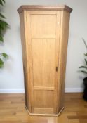 A late Victorian pine sentry door hall cupboard, 93 cm W x 41 cm D x 217 cm H.