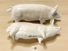 A Beswick pig CH Wall CH Boy 53, together with a further pig CH Wall Queen 40.
