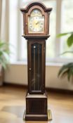 A reproduction Tempus Fugit longcase clock with pendulum and three weights, height 195 cm.