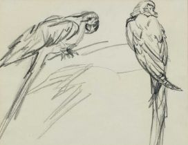 Joseph Crawhall RSW, NEAC (1861-1913) Study of two parrots (recto); Study of a parrot (verso) Pencil