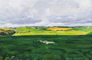 Harry William Huyshe Yeatman-Biggs (b.1963) Wylye Grass (in Chiaroscuro) with Chalk Signed and dated