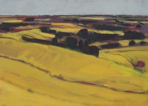 Nick Phillips (b.1968) Daylight 14 Signed (lower right) Oil on canvasboard 41.8 x 59cm (Excluding