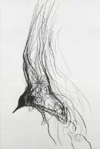Jason Gathorne-Hardy (b.1968) Seagull Turning Signed (lower right) Graphite on paper 103 x 68cm (