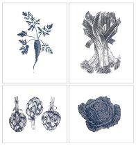 † Mark Lord (b.1975) Leeks, Artichokes; Savoy Cabbage; Carrot Four, each signed Lino Lord (in