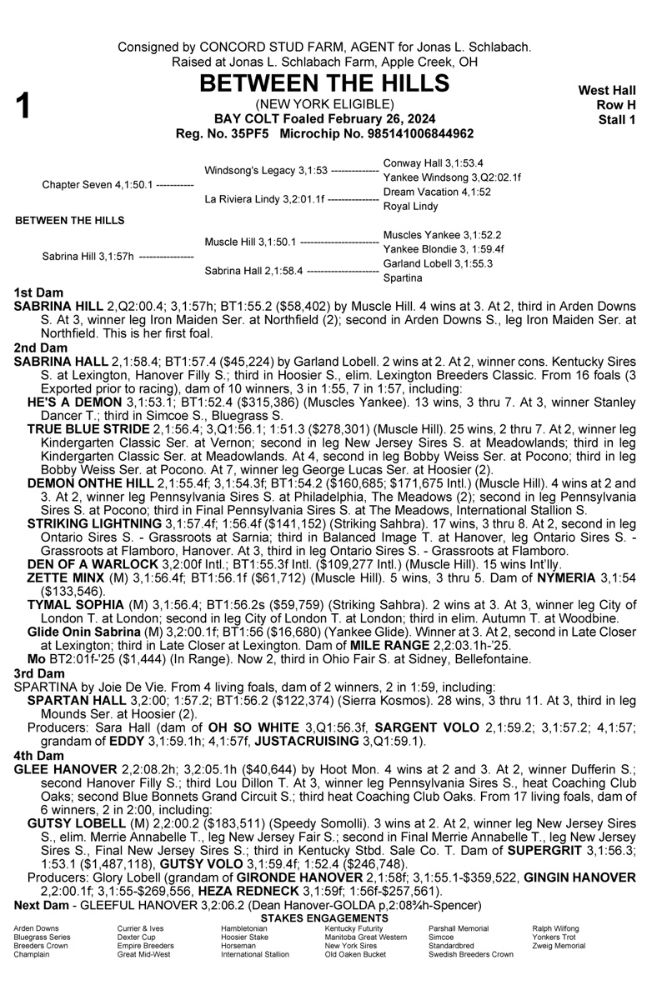 2025 Standardbred Horse Sales Company Annual Sale (Day 1)