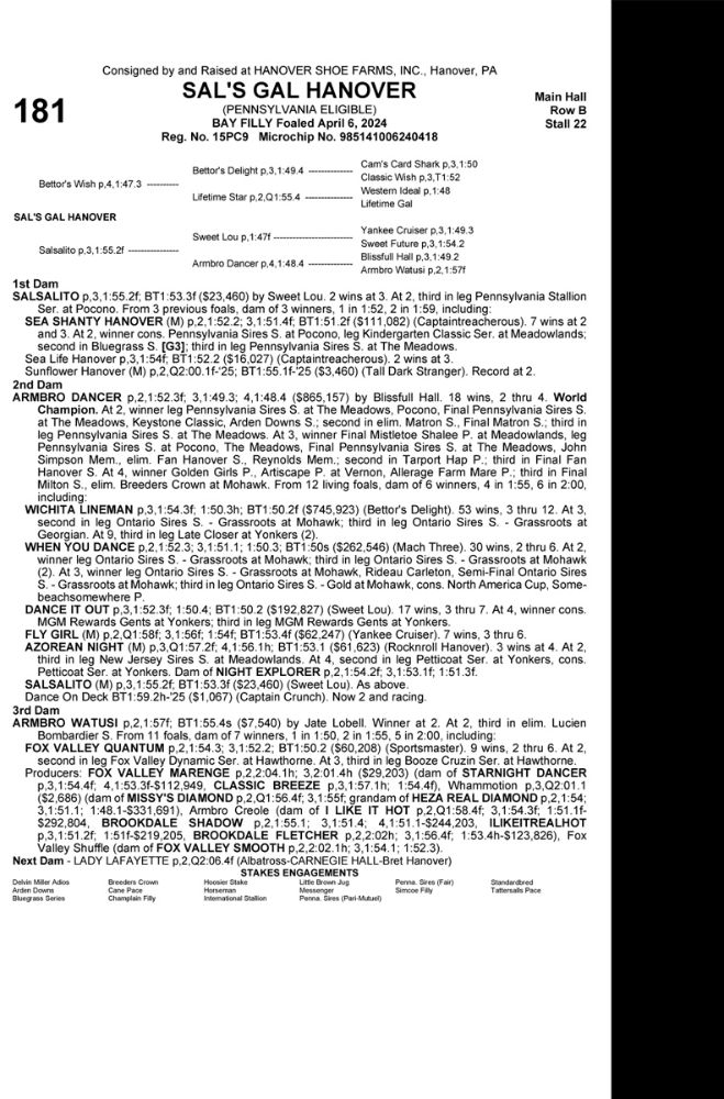 2025 Standardbred Horse Sales Company Annual Sale (Day 2)
