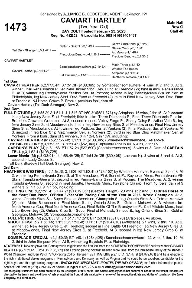 2025 Standardbred Horse Sales Company Annual Sale (Day 5)