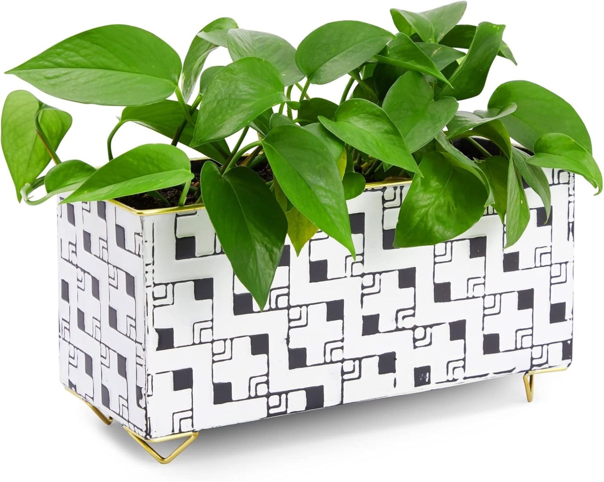 Rectangular Box In R3 8x BRAND NEW FARMLYN CREEK DECORATIVE RECTANGULAR WINDOW PLANTER BOXES ...