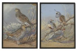 Allan Brooks (Canadian, 1869-1946)