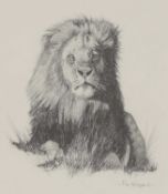 ▲ Pip McGarry (b.1955)