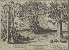 The van Deutecum Brothers​​ after Jan Huygen van Linschoten