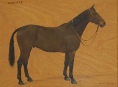 ▲ Frances Mabel Hollams (1877-1963)