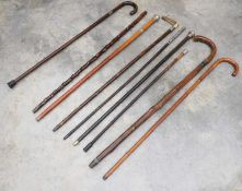 A collection of sword sticks and canes,