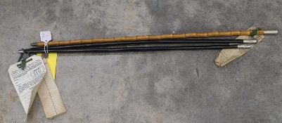 Three swagger canes,