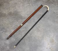 Two walking sticks,